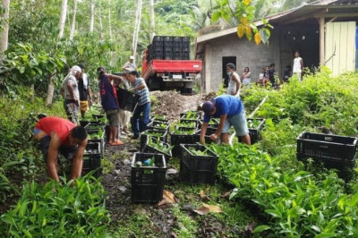 5 coops sa Davao de Oro, nakadawat ug P1-M ayudang pinansyal