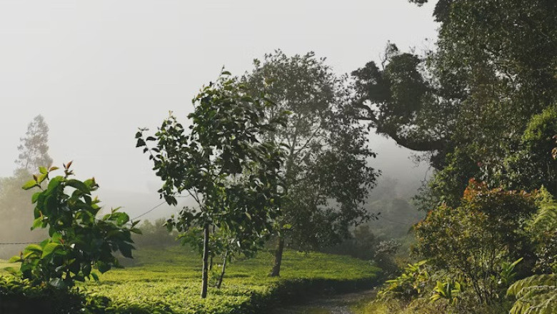 Verse of the Day | November 10, 2025