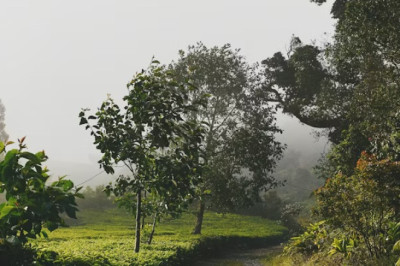 Verse of the Day | November 10, 2025