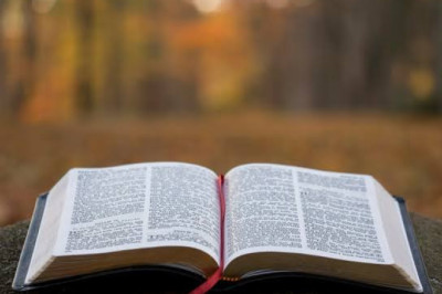 Verse of the Day | November 14, 2025