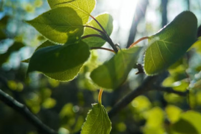 Verse of the Day | December 16, 2025