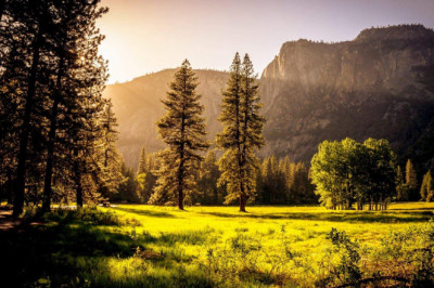 Verse of the Day | Dec. 6