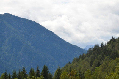 Verse of the Day | Dec 11