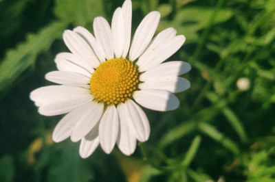 Verse of the Day | Dec 14