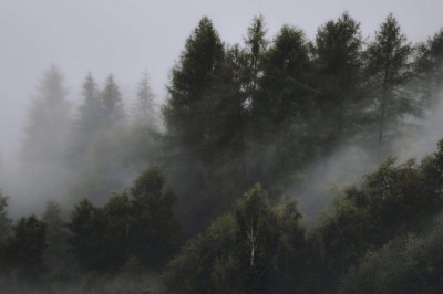 Verse of the Day | Dec 20