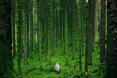 Verse of the Day | Dec 25