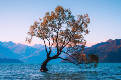 Verse of the Day | Dec 29