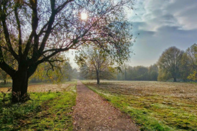 Verse of the Day | Jan 1