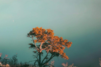 Verse of the Day | Jan 6