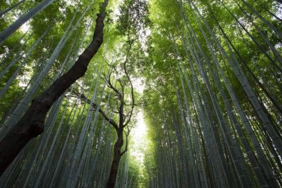 Verse of the Day | Jan 8