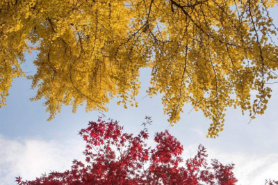 Verse of the Day | Jan 9