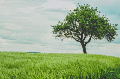 Verse of the Day | Jan 13