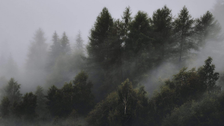 Verse of the Day | Jan 17