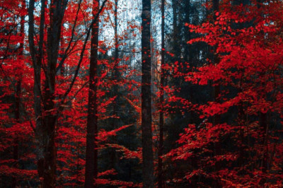 Verse of the Day | Jan 18