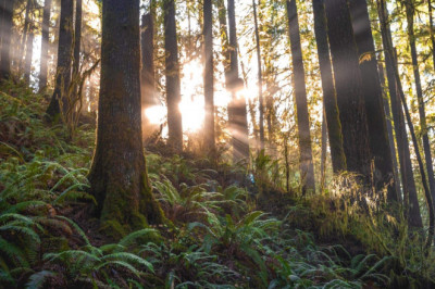 Verse of the Day | Jan 19