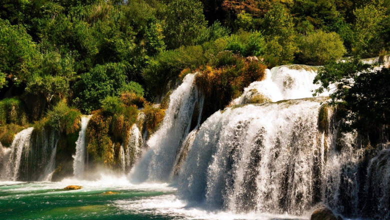 Verse of the Day | Jan 20