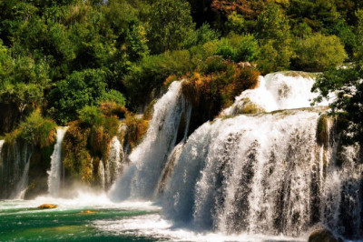 Verse of the Day | Jan 20