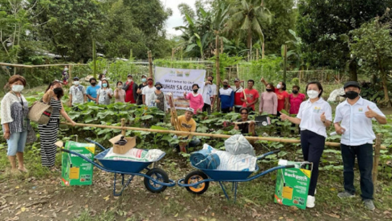 Sultan Kudarat farmers to launch ‘pinakbet garden’
