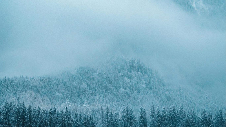 Verse of the Day | Jan 31