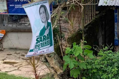 Mayor Sara sa mga supporters: Huwag ikabit ang mga banners at posters niya sa mga punongkahoy