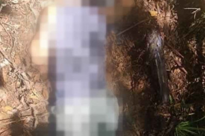 NPA rebel killed, high-powered firearms seized in MisOr