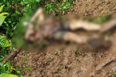 5 NPA rebels killed in Davao de Oro clash