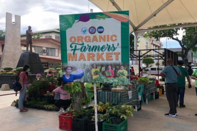 City reopens Organic Farmers Market
