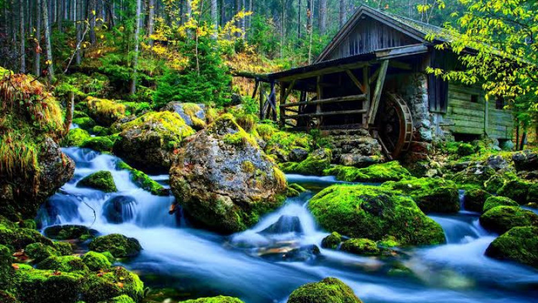 Verse of the Day | April 10