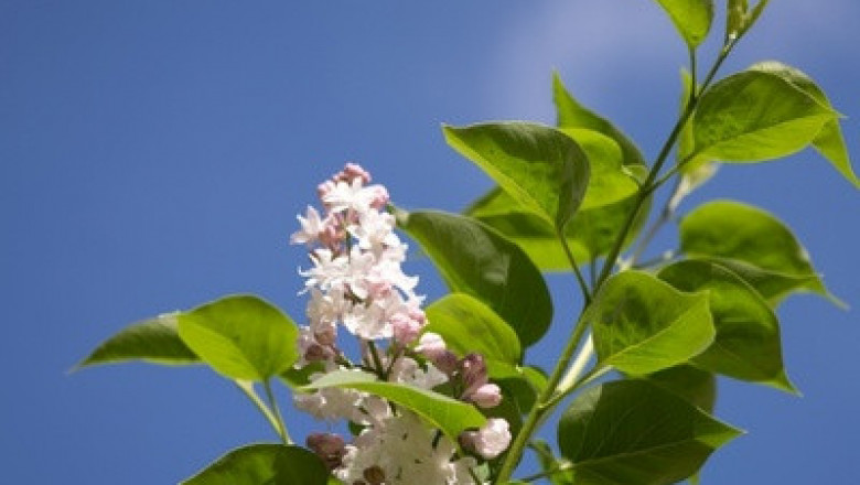 Verse of the Day | April 12