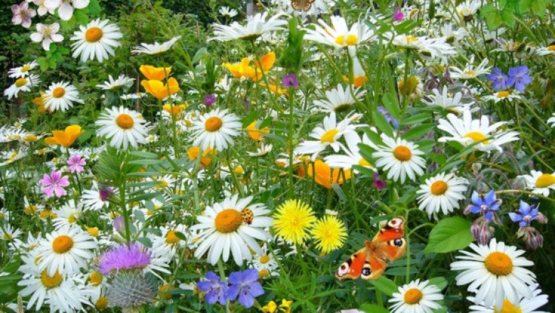 Verse of the Day | April 15