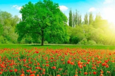 Verse of the Day | April 30