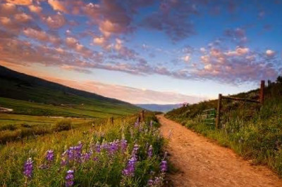 Verse of the Day | May 2