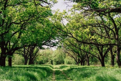 Verse of the Day | May 6