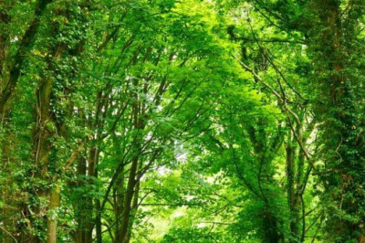 Verse of the Day | May 7