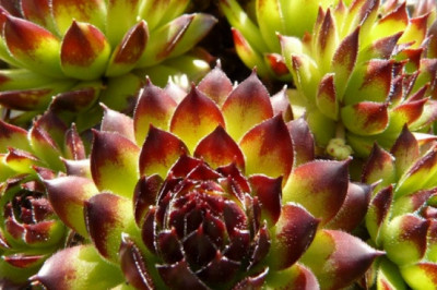 Verse of the Day | May 12