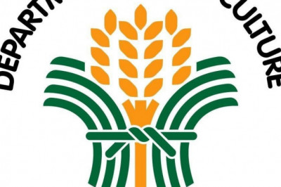 P250-B budget para sa DA, hirit ni Sec Dar para sa administrasyong Marcos