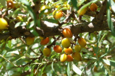 Verse of the Day | May 13