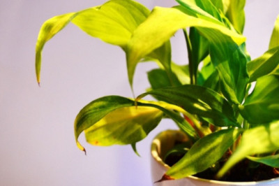 Verse of the Day | May 14