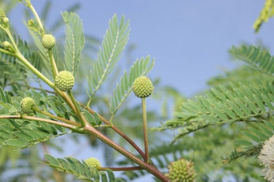 Verse of the Day | May 15