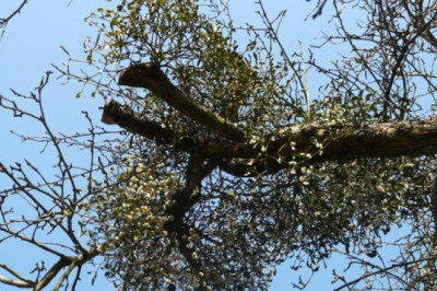 Verse of the Day | May 16