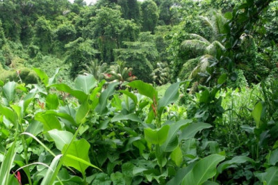 Verse of the Day | May 18