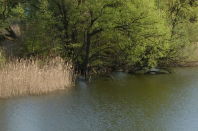 Verse of the Day | May 20