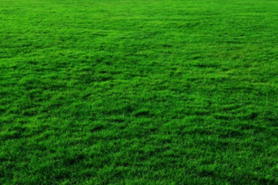 Verse of the Day | May 22