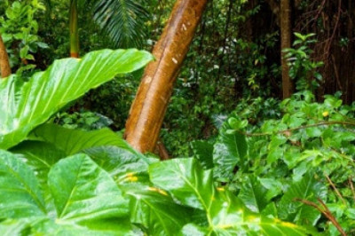 Verse of the Day | May 27