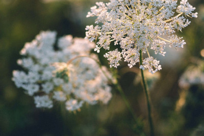 Verse of the Day | May 28