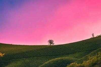 Verse of the Day |  May 31