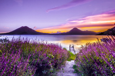 Verse of the Day | June 2