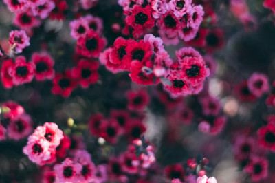 Verse of the Day | June 3