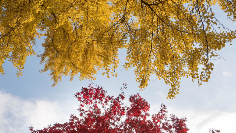 Verse of the Day | June 4