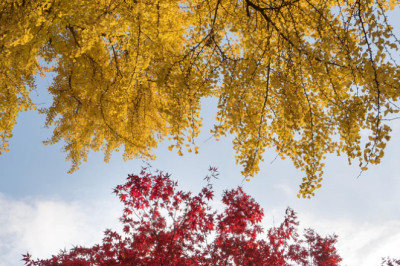 Verse of the Day | June 4